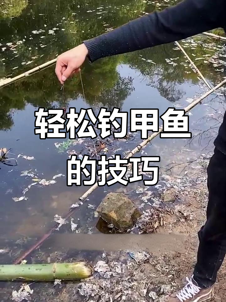 打鳖技巧(打鳖是什么原理)