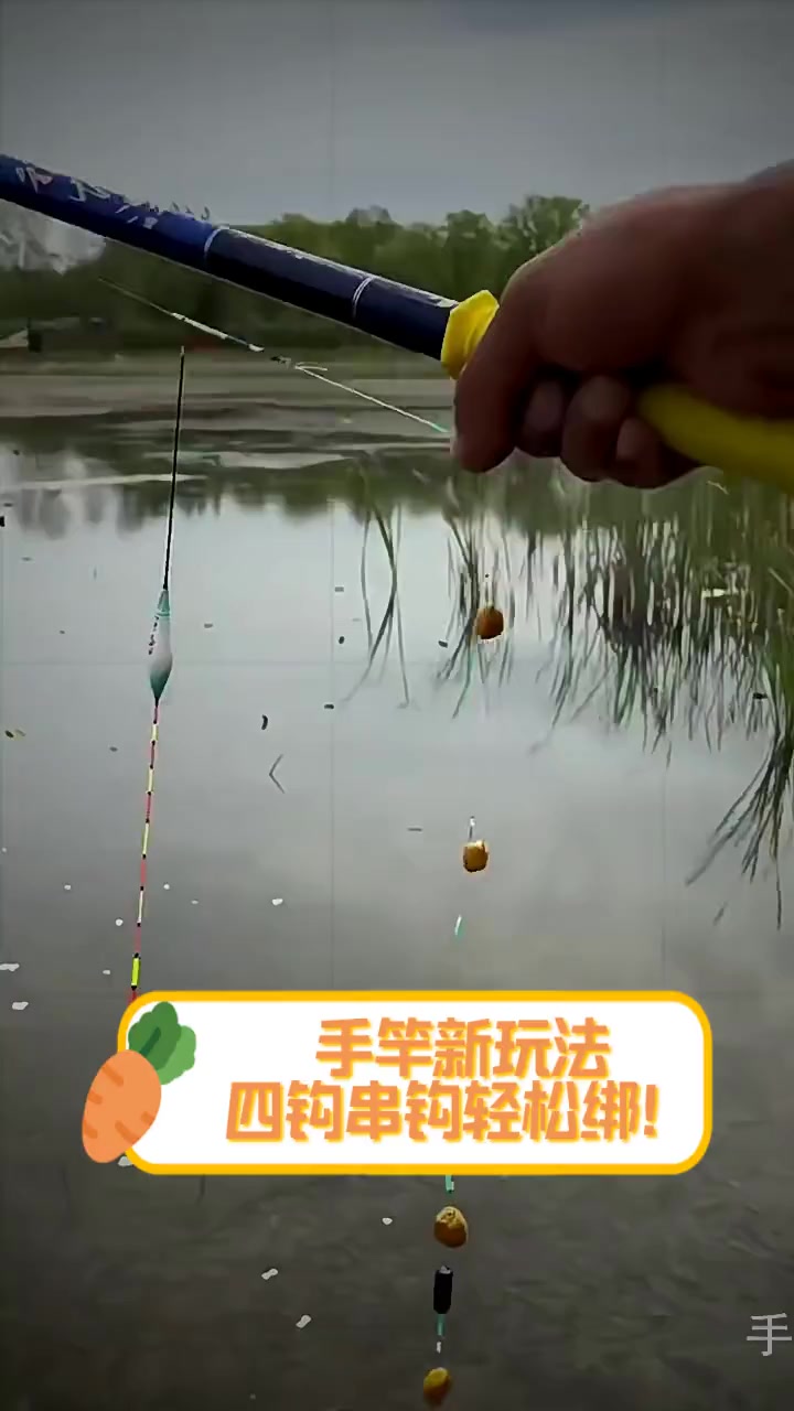 手杆玉米钓鱼技巧(手竿钓玉米粒怎样调漂)