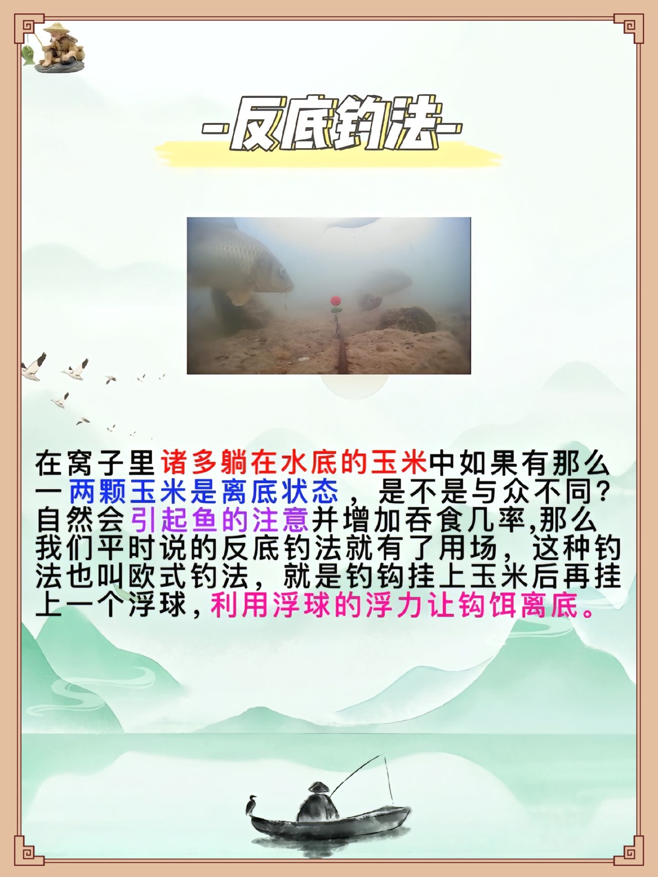 手杆玉米钓鱼技巧(手竿钓玉米粒怎样调漂)