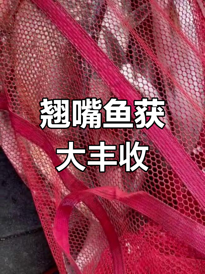 伐钓钓翘嘴技巧(钓翘嘴讲解与分析)