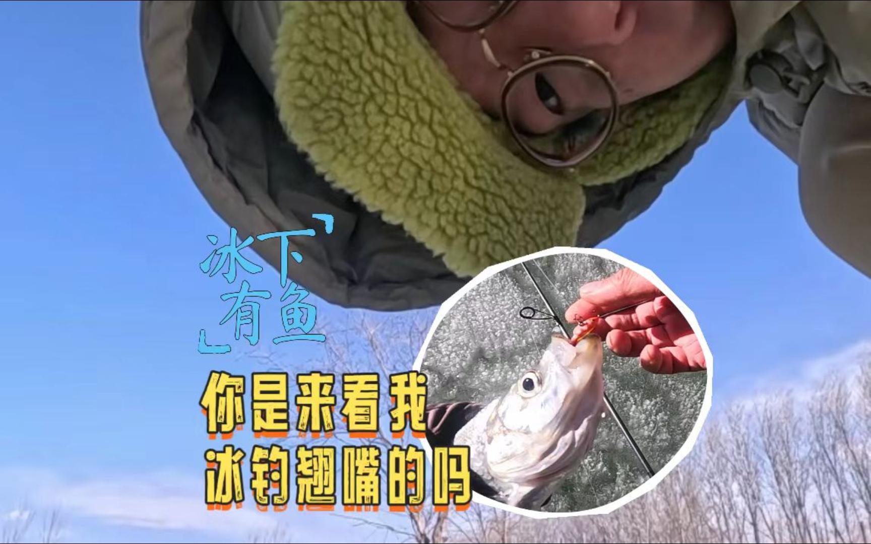 大风前夕路亚(大风天路亚用什么饵)