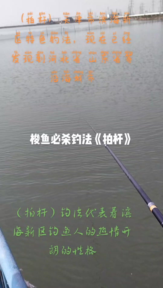 海上钩梭鱼技巧(海里钓梭鱼用什么诱饵)