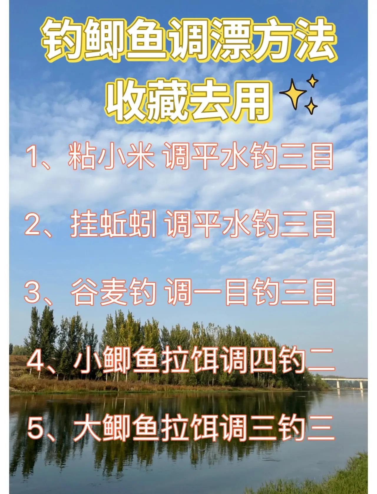 浮漂的应用技巧(浮漂的作用是什么)