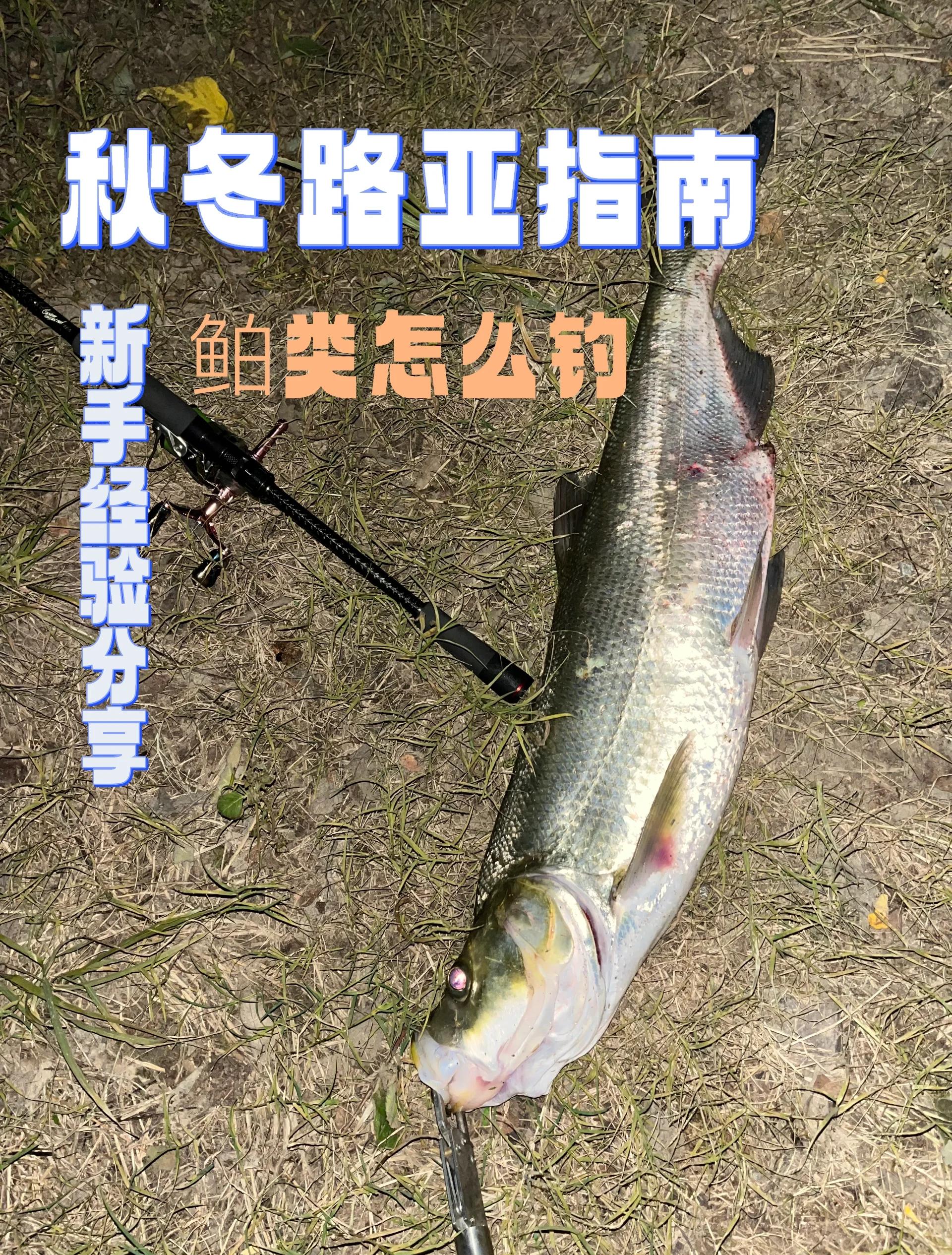 水库筏钓翘嘴技巧大全(水库筏钓翘嘴技巧大全图解)