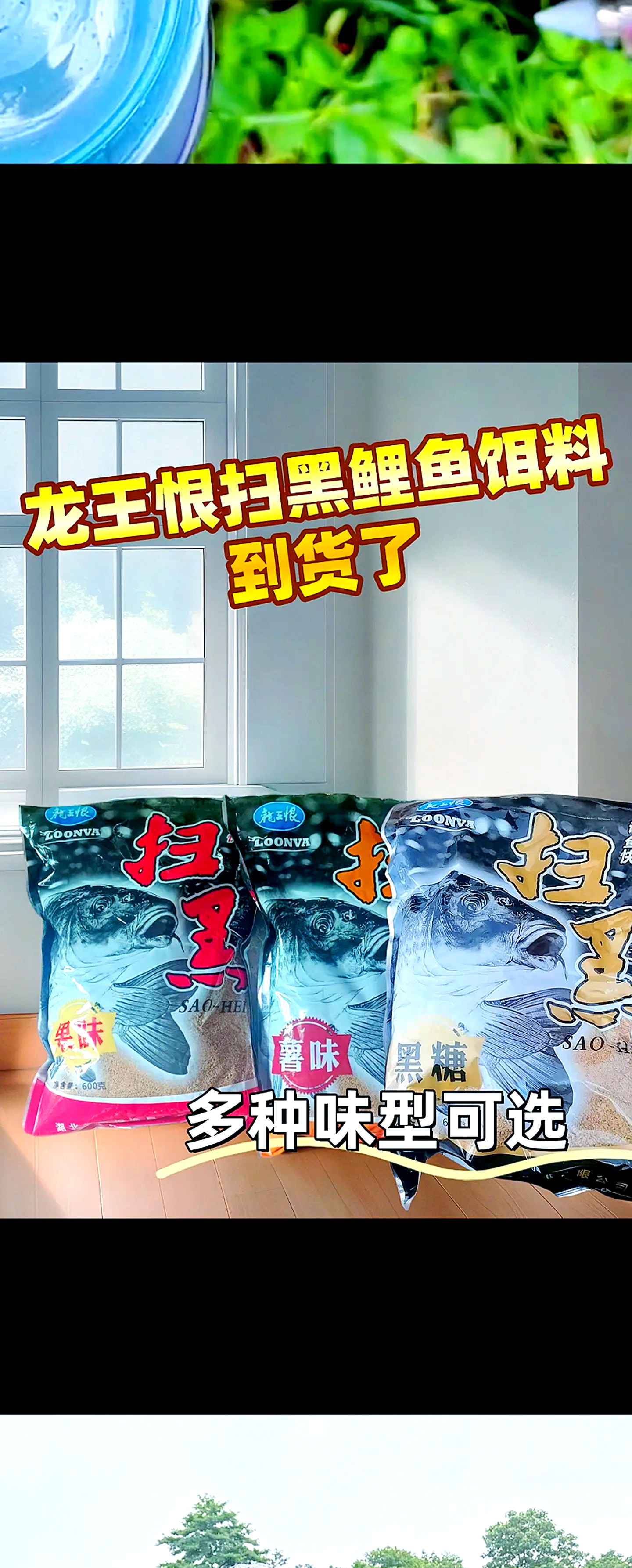 黑坑王者饵料(钓鱼王黑坑鲤鱼饵料配方)