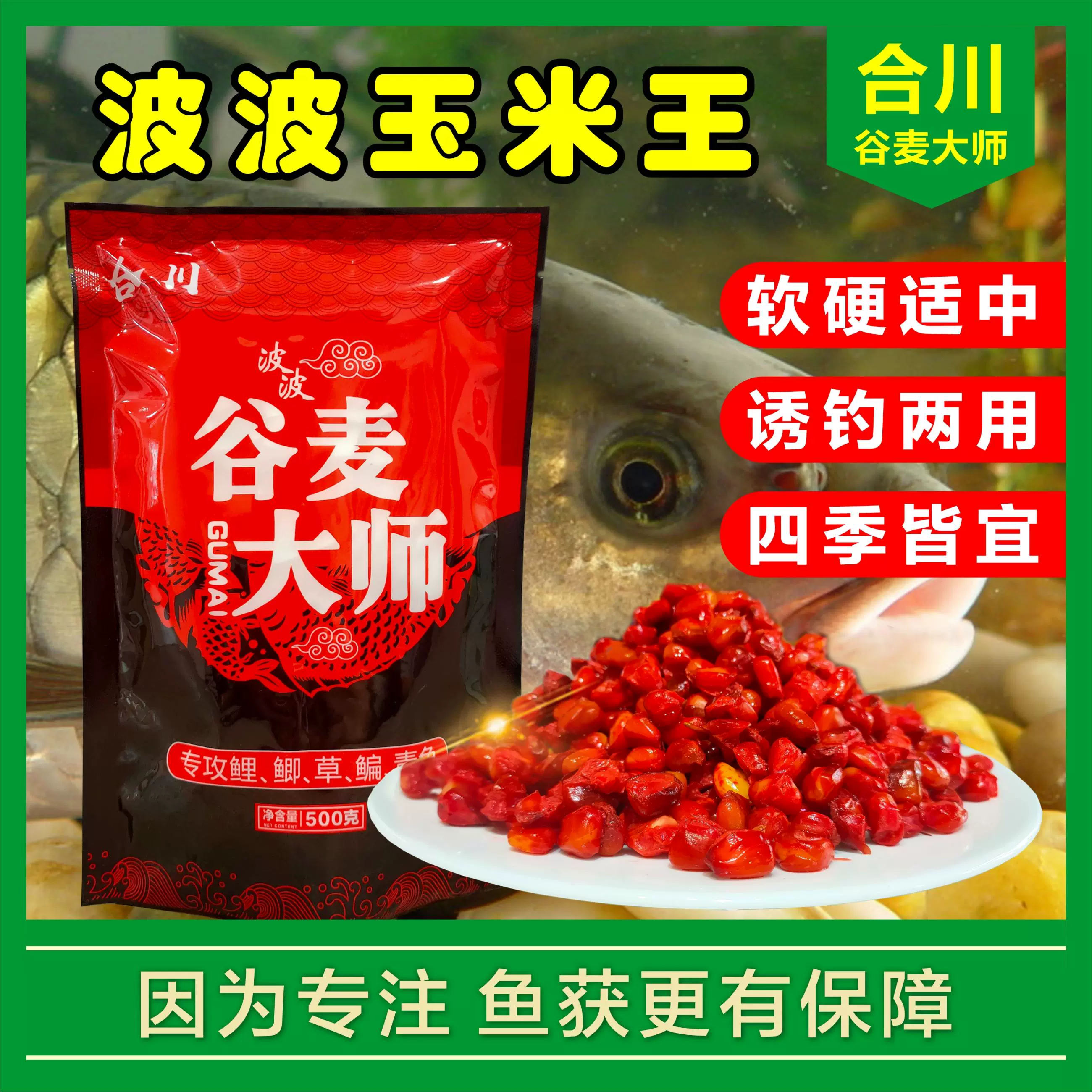 饵料钓玉米打窝(饵料钓玉米打窝怎么打)