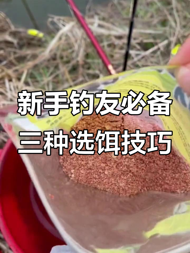 拉饵的调制技巧(拉饵的调制技巧有哪些)
