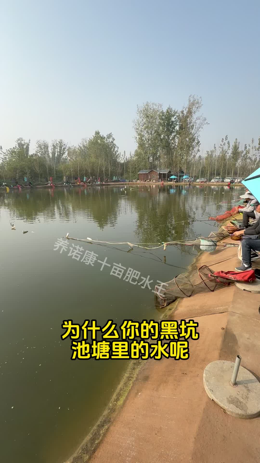 肥水河道钓鱼技巧(怎么钓肥水河里的鱼)