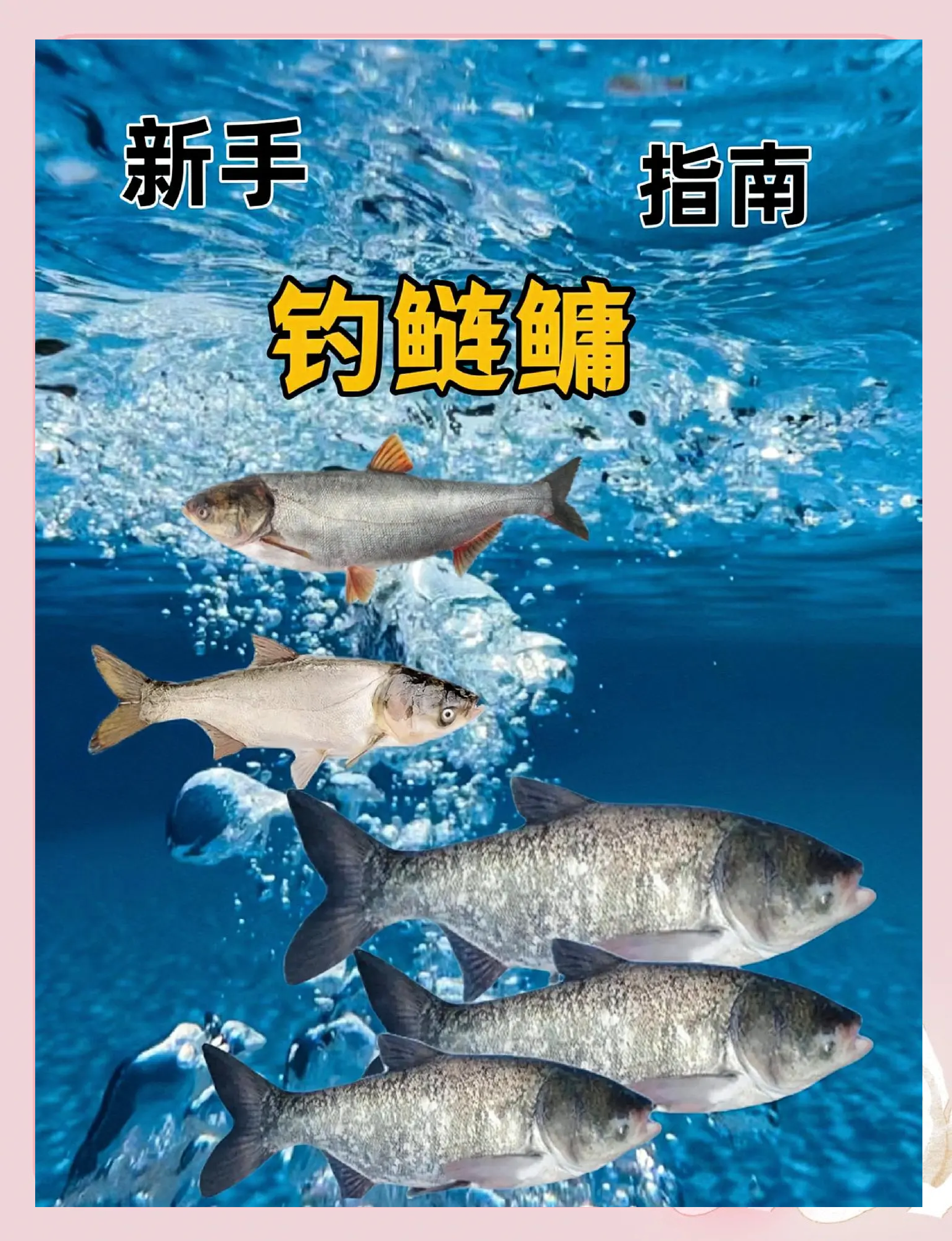 水怪钓鲢技巧(水怪钓鲢技巧视频教程)