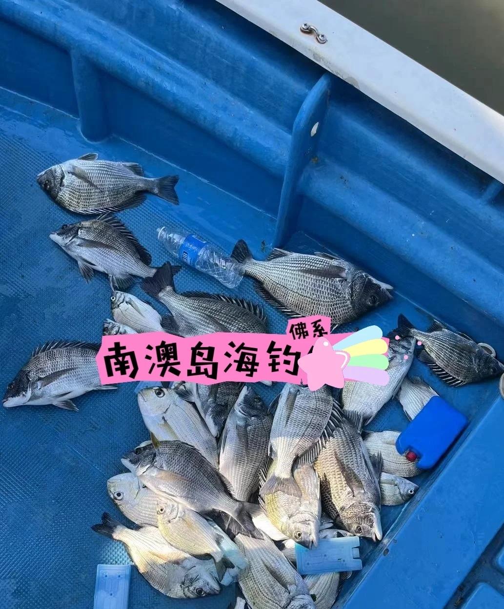 深圳南澳海钓攻略(深圳南澳哪个码头可以钓鱼)
