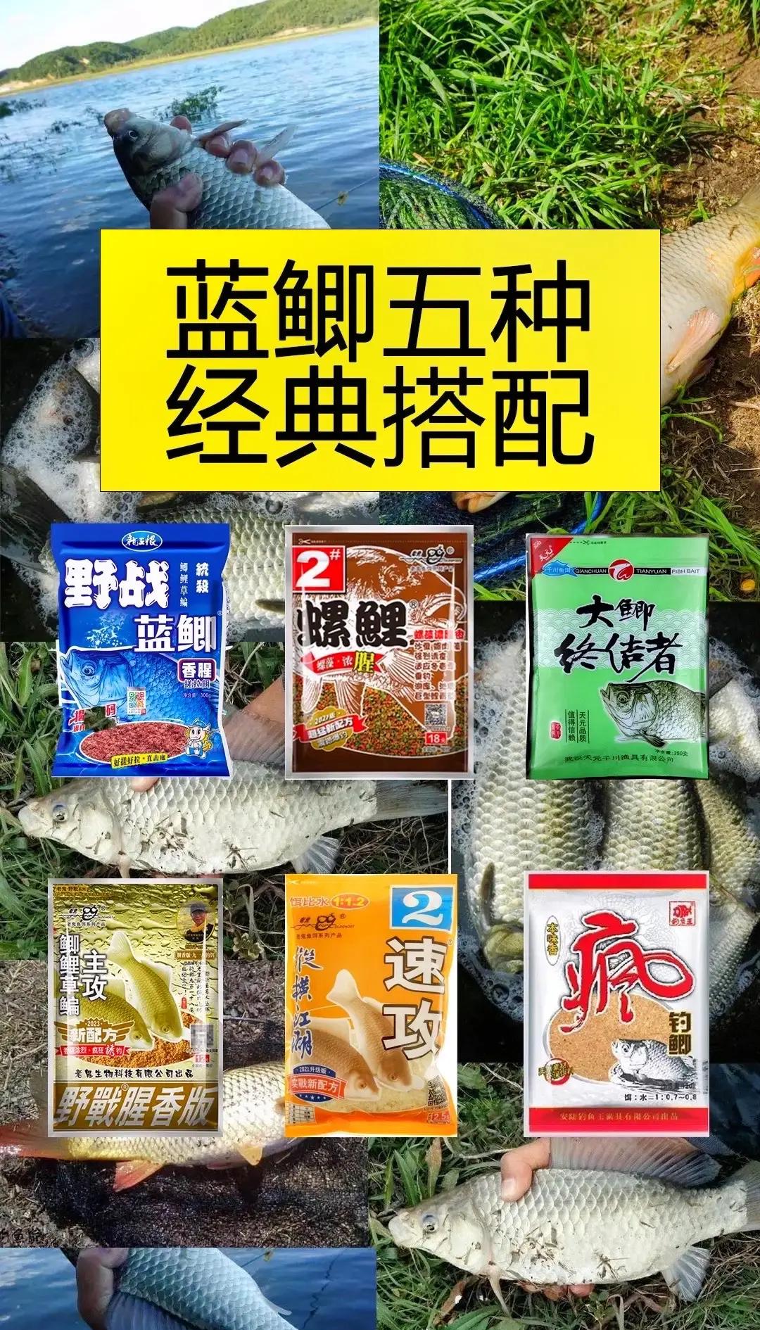 给力饵料配方大全(给力饵料配方大全视频)