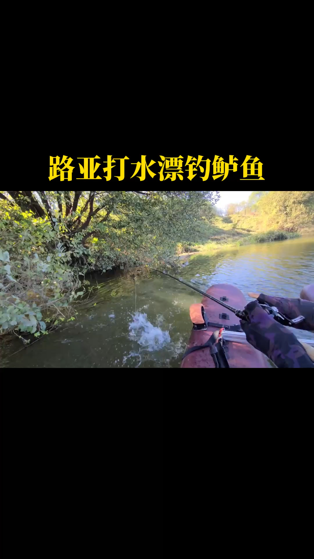 路亚海鲈技巧(路亚海钓鲈鱼教学视频教程)