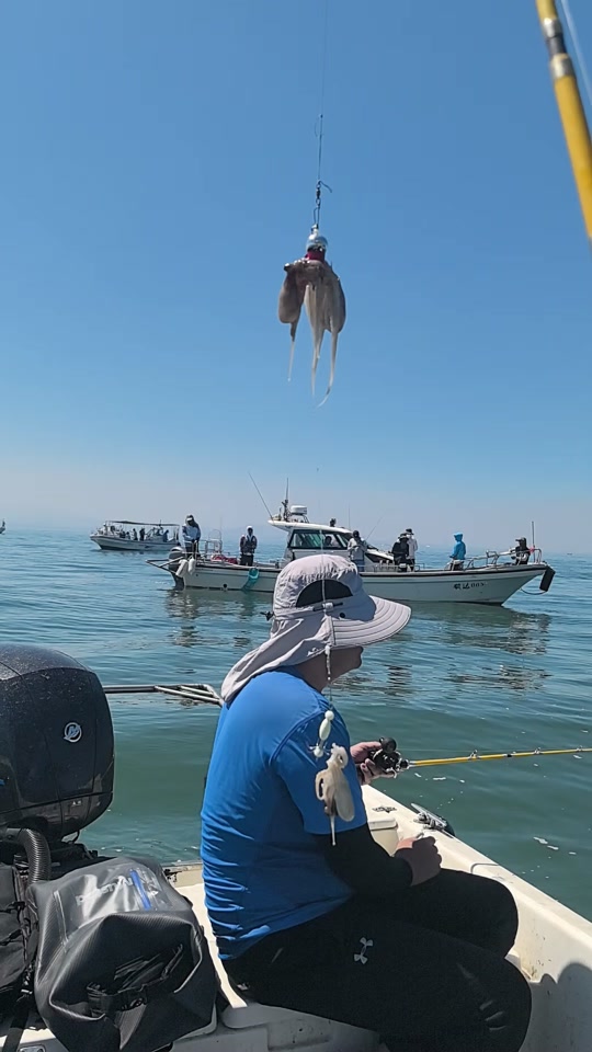 惠州海钓的好去处(惠州附近海域免费海钓)
