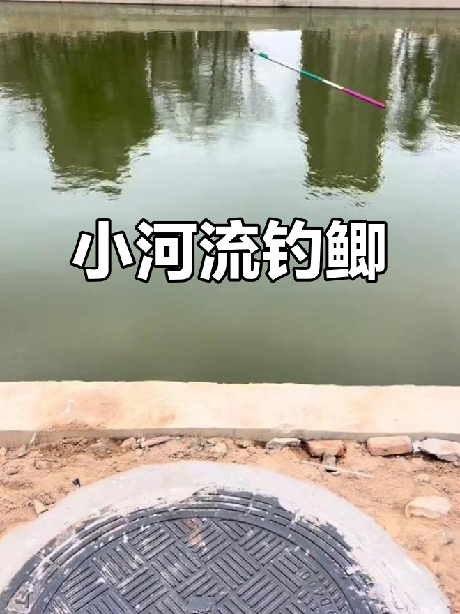 小河夜钓鱼技巧(小河夜钓鱼技巧视频)