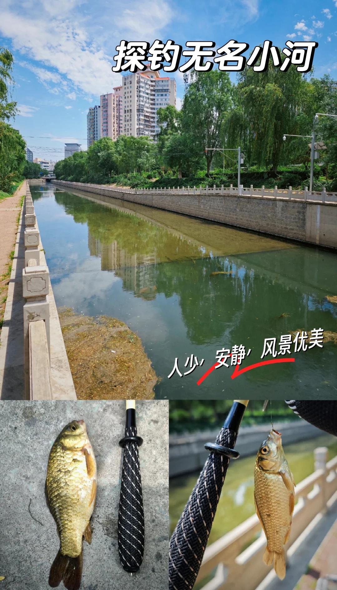 小河夜钓鱼技巧(小河夜钓鱼技巧视频)