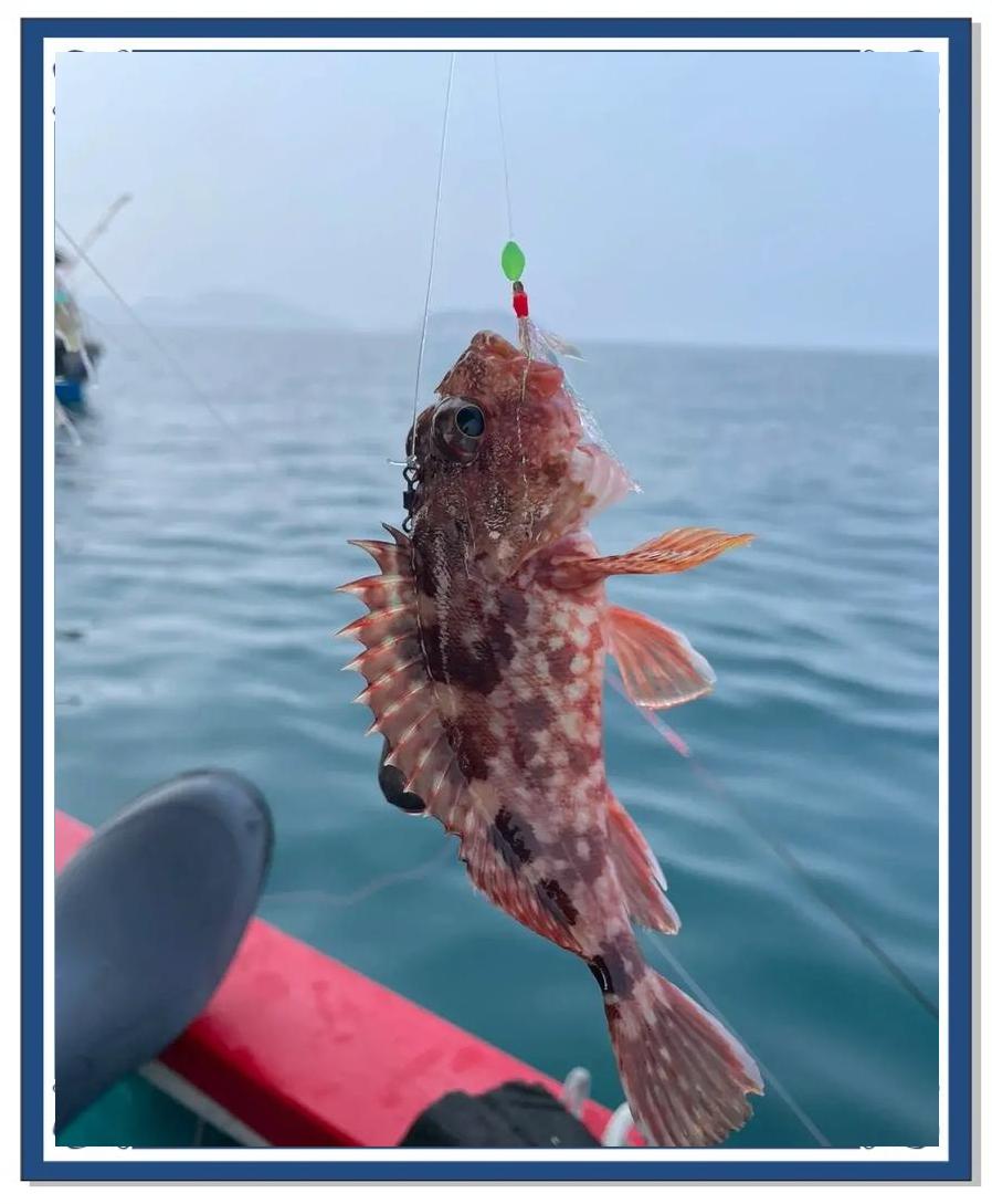 珠海不出海的海钓(珠海哪里不用出海能钓海鱼)
