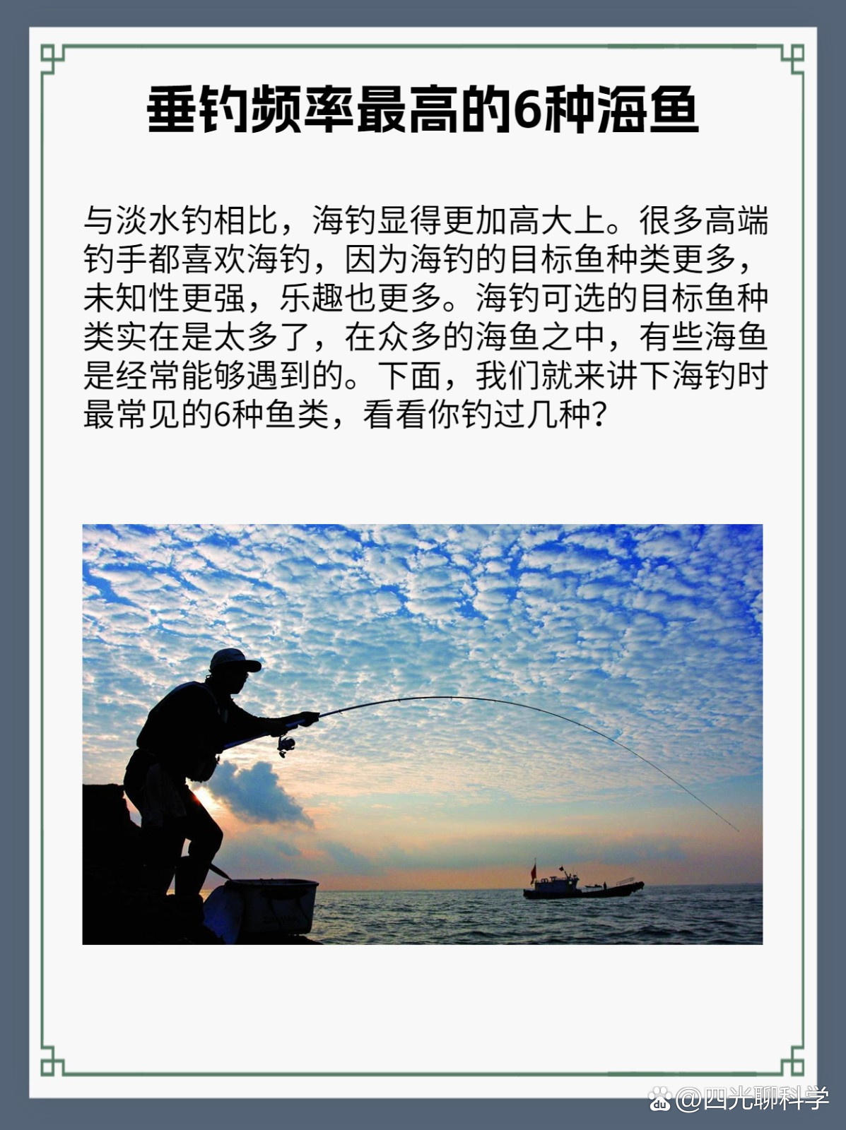 海钓目标鱼种(海钓目标鱼种图片)