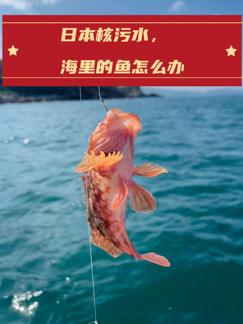 钓海附鱼技巧(海钓怎么钓浮鱼)