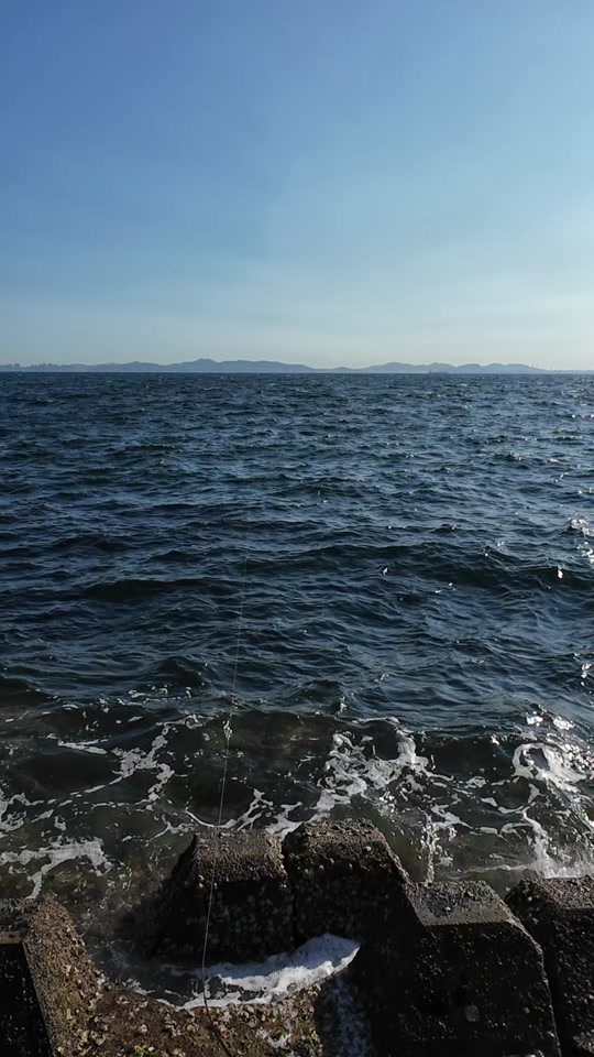 炎月深海海钓(炎月钓法适用哪些鱼)