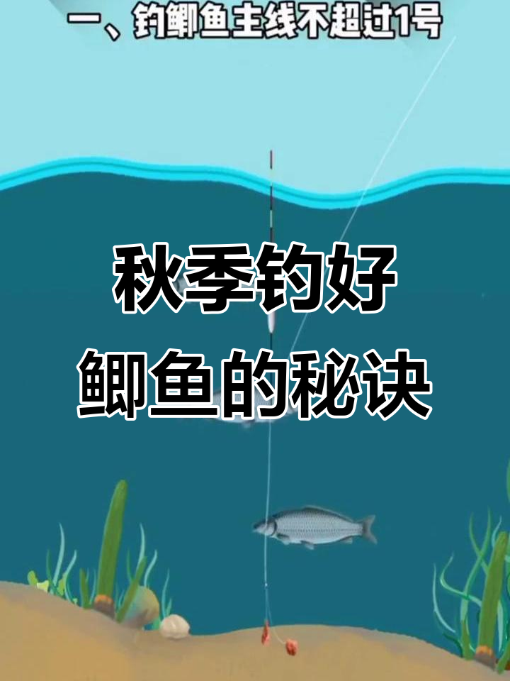 秋季钓鱼技巧十一钓鱼(秋季钓鱼技巧十一钓鱼视频)