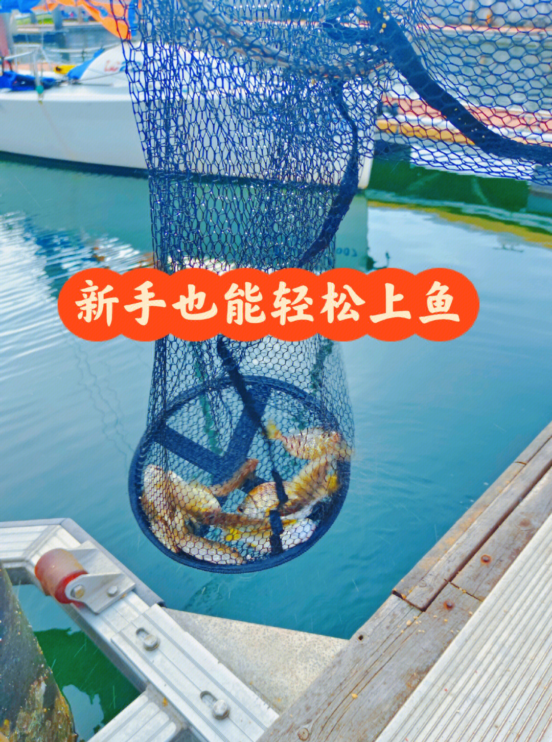 如何海钓大鱼(海钓大鱼用什么线)