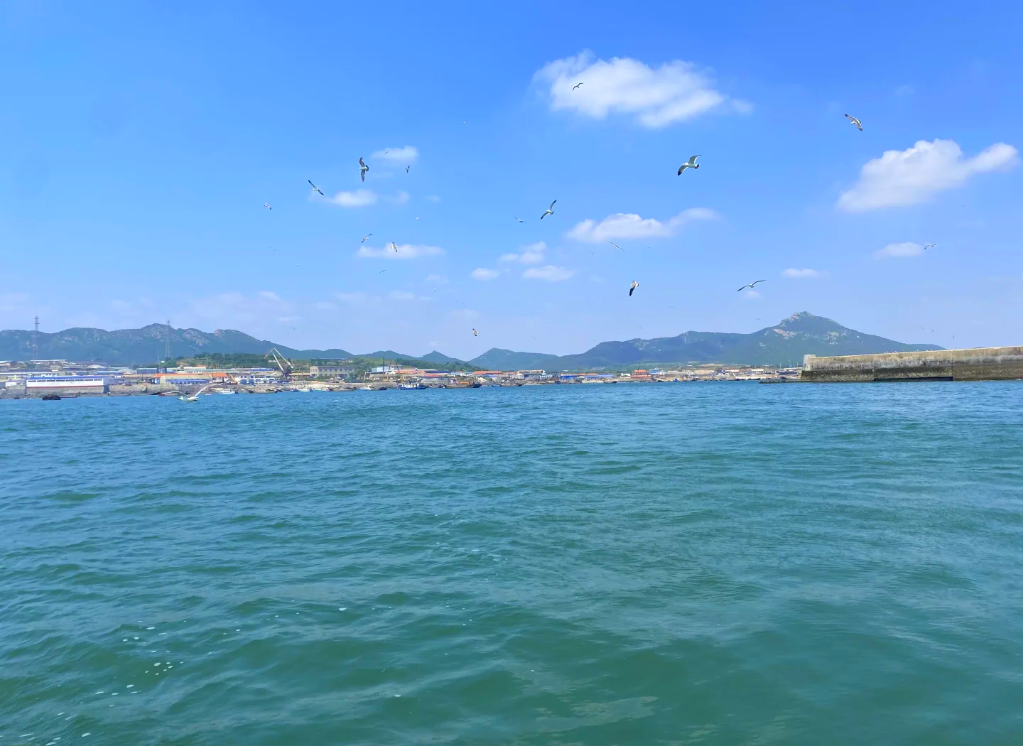 大连免费海钓的地方(大连免费海钓的地方有哪些)