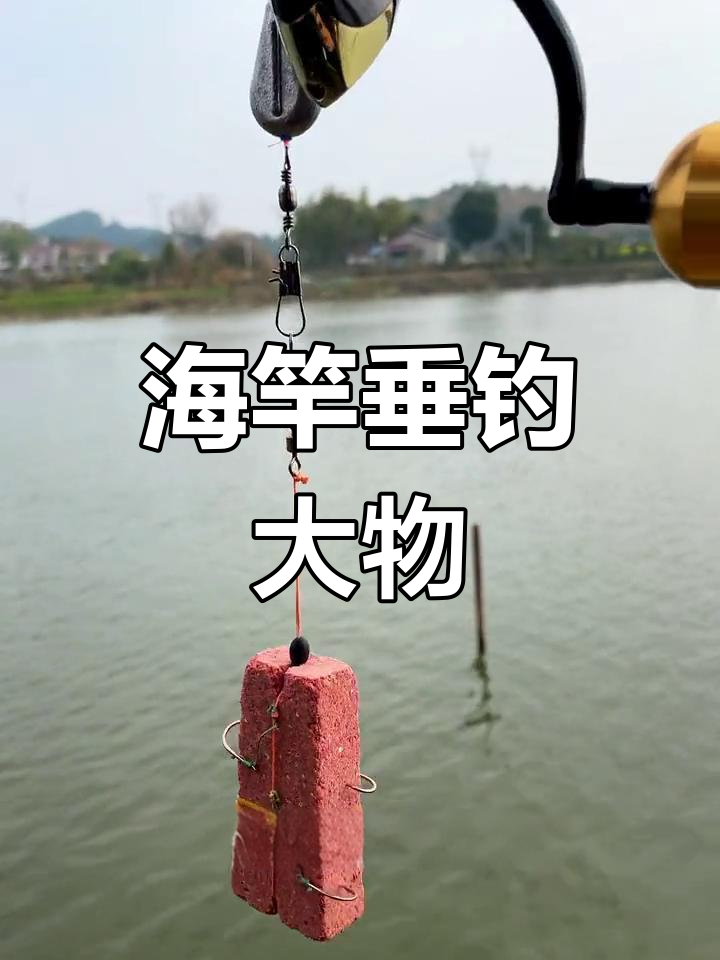 溜青鱼的技巧(青鱼溜边是什么原因)
