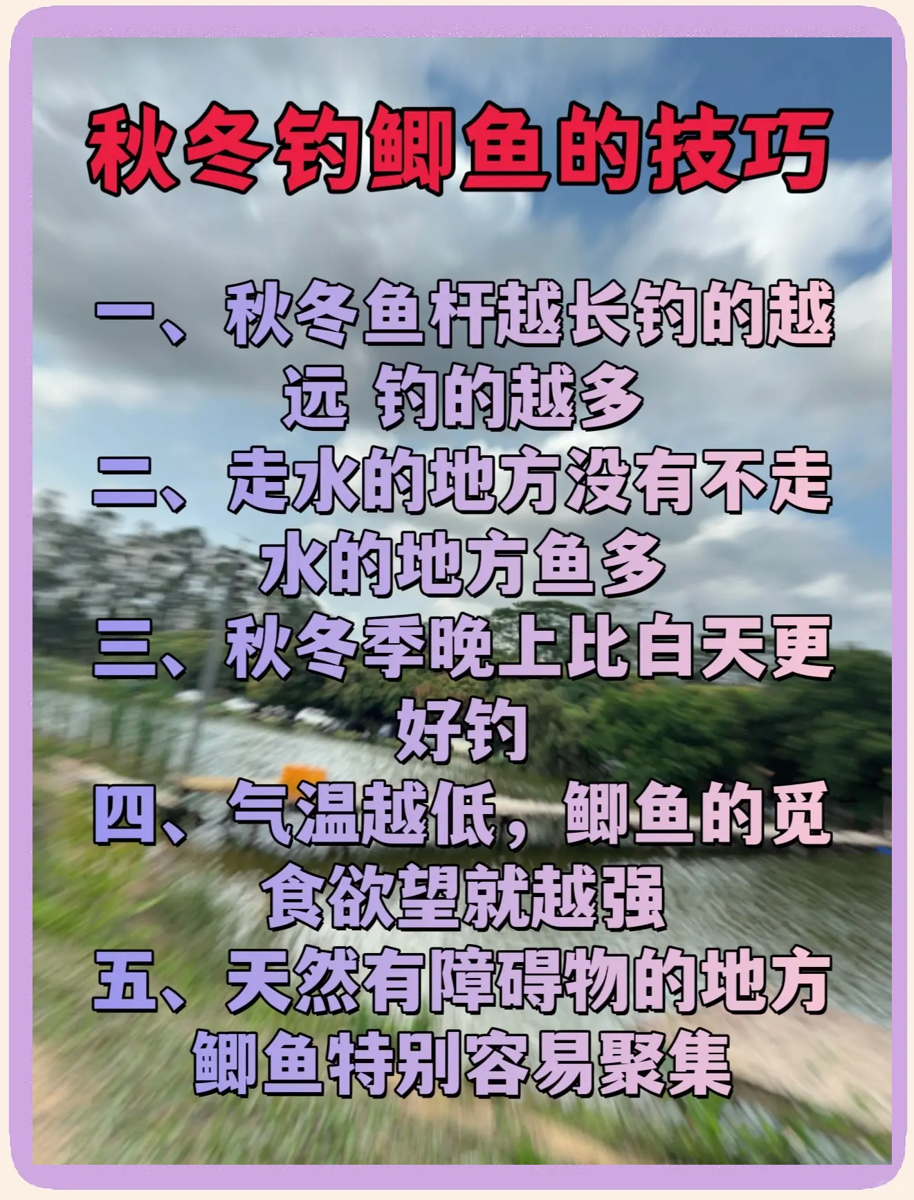 立冬坑塘钓鲫鱼技巧(立冬坑塘钓鲫鱼技巧和方法)