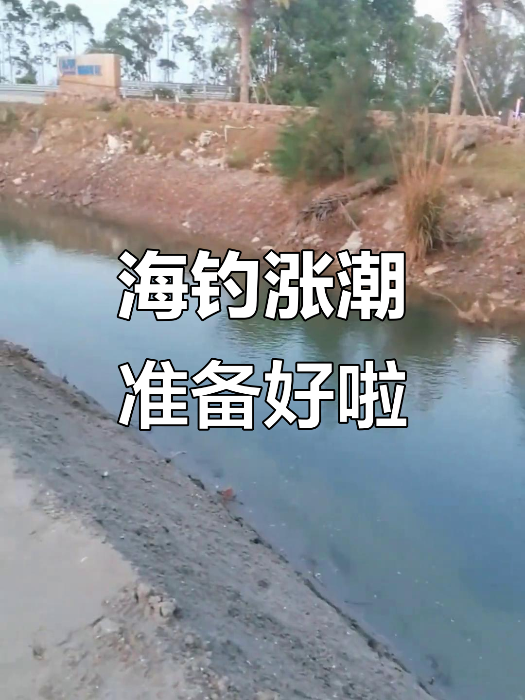 钦州哪个地方海钓(钦州哪个地方海钓最好)