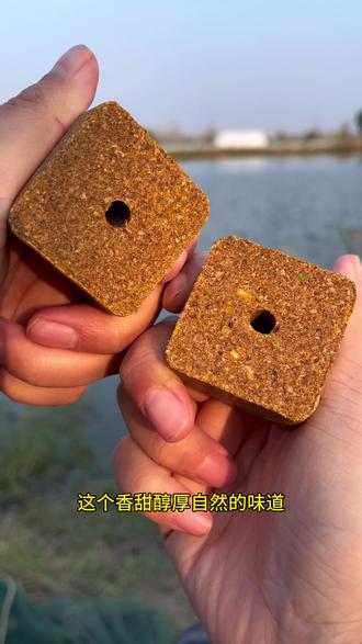 打涡饵料(钓鱼打窝饵料)