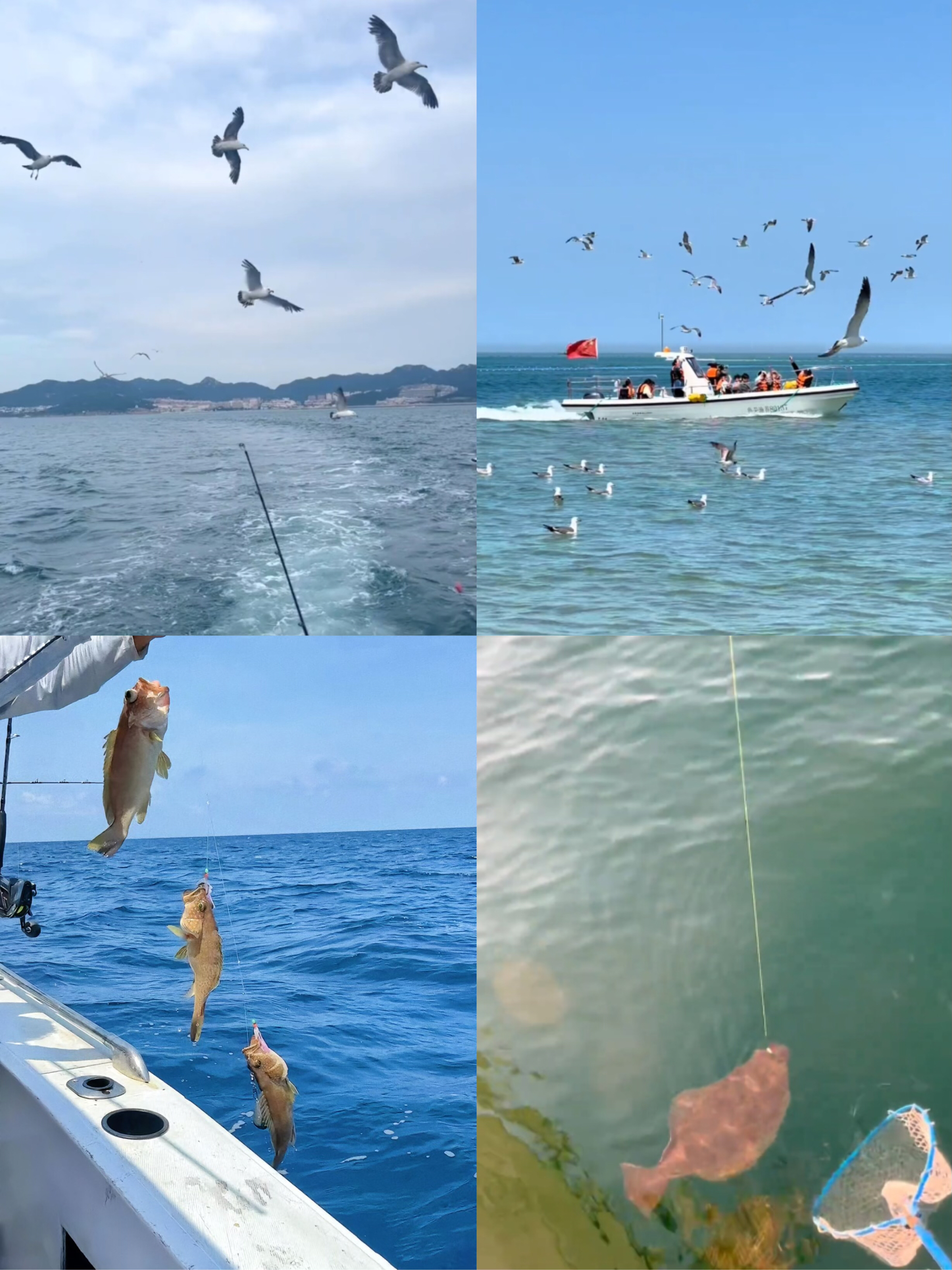 琼海海钓去哪里(琼海海钓钓点佯细攻略)