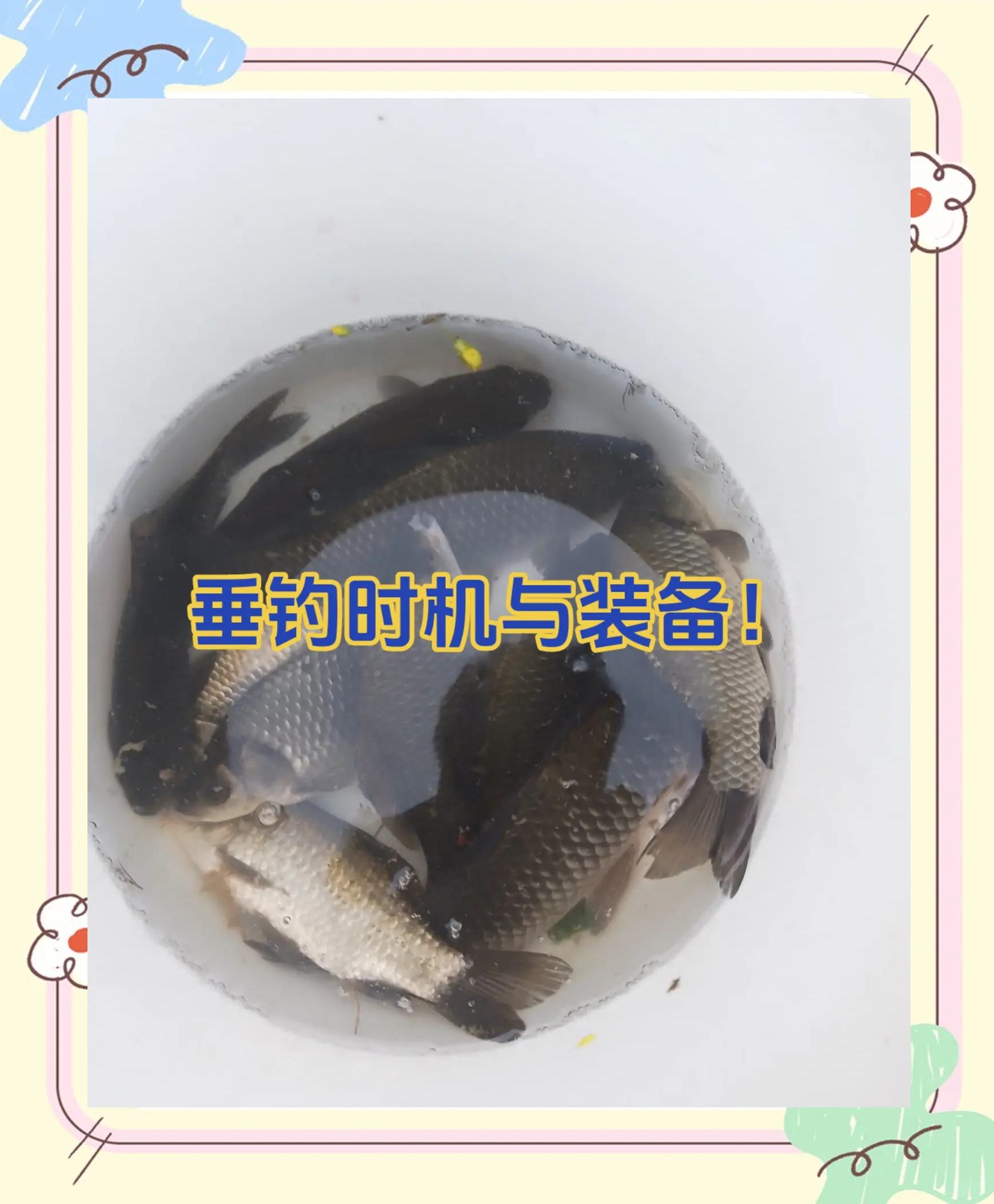 化绍新垂钓技巧讲解(化绍新钓鱼训练营视频全集)