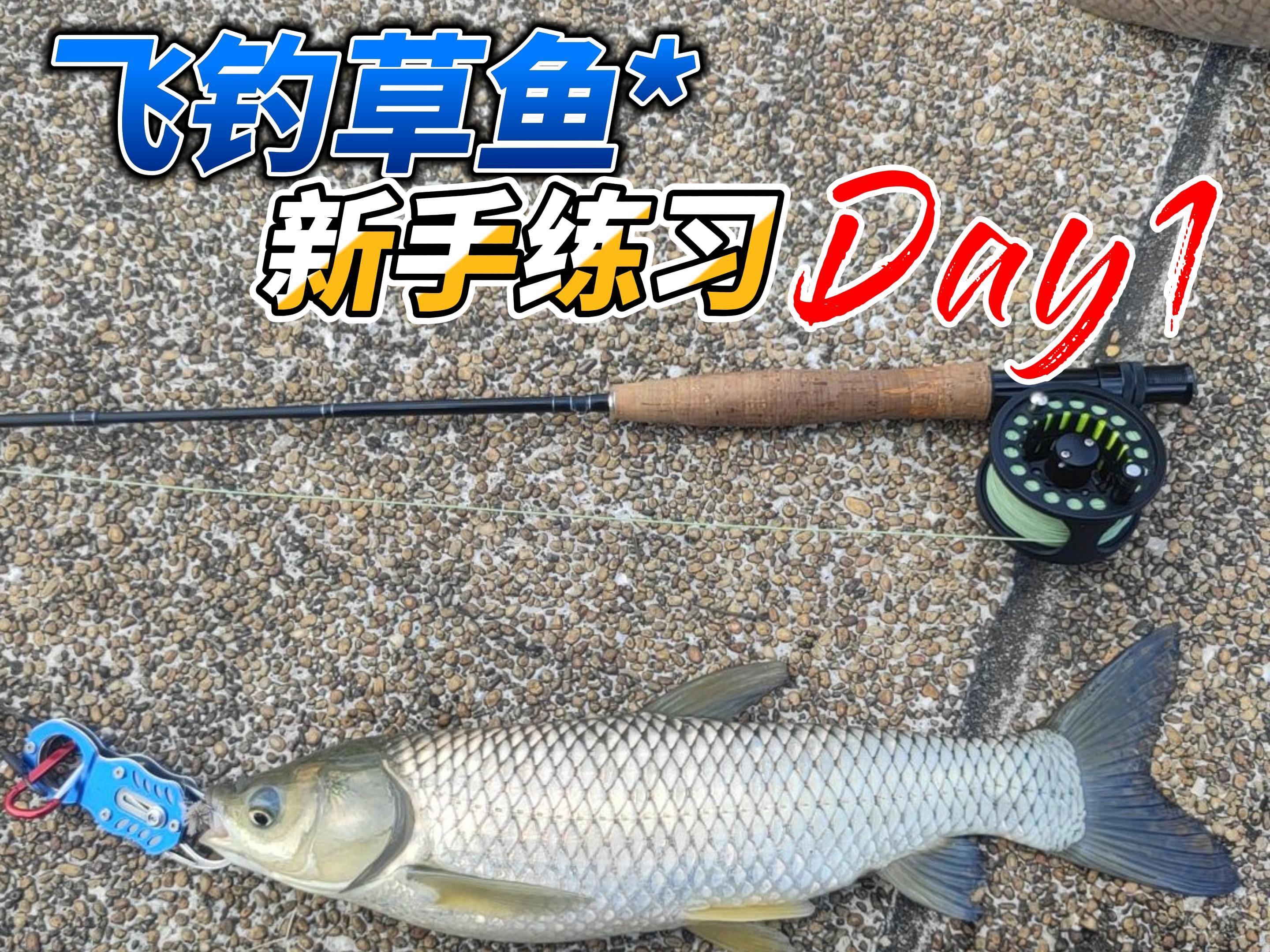 水库毛钩钓鱼技巧(怎么样用毛钩钓鱼视频)