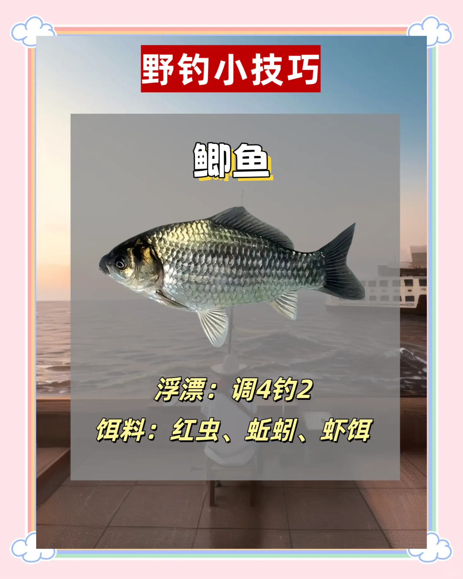 面食野钓调漂技巧(面食野钓调漂技巧图解)