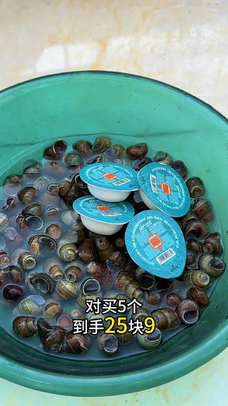 冬季用螺蛳钓青鱼技巧(冬季用螺蛳钓青鱼技巧和方法)