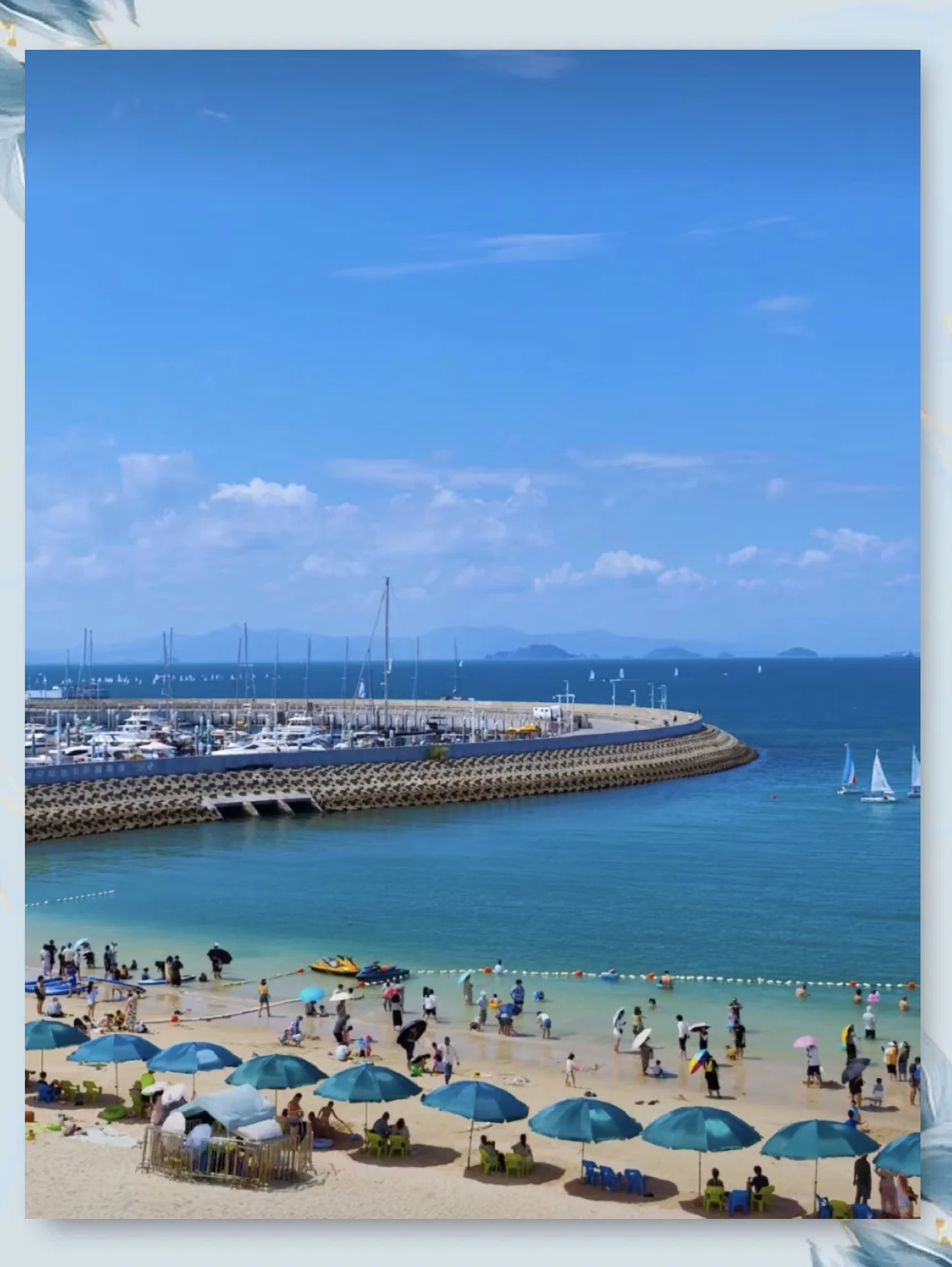 深圳宝安最佳海钓地点(深圳宝安最佳海钓地点排名)