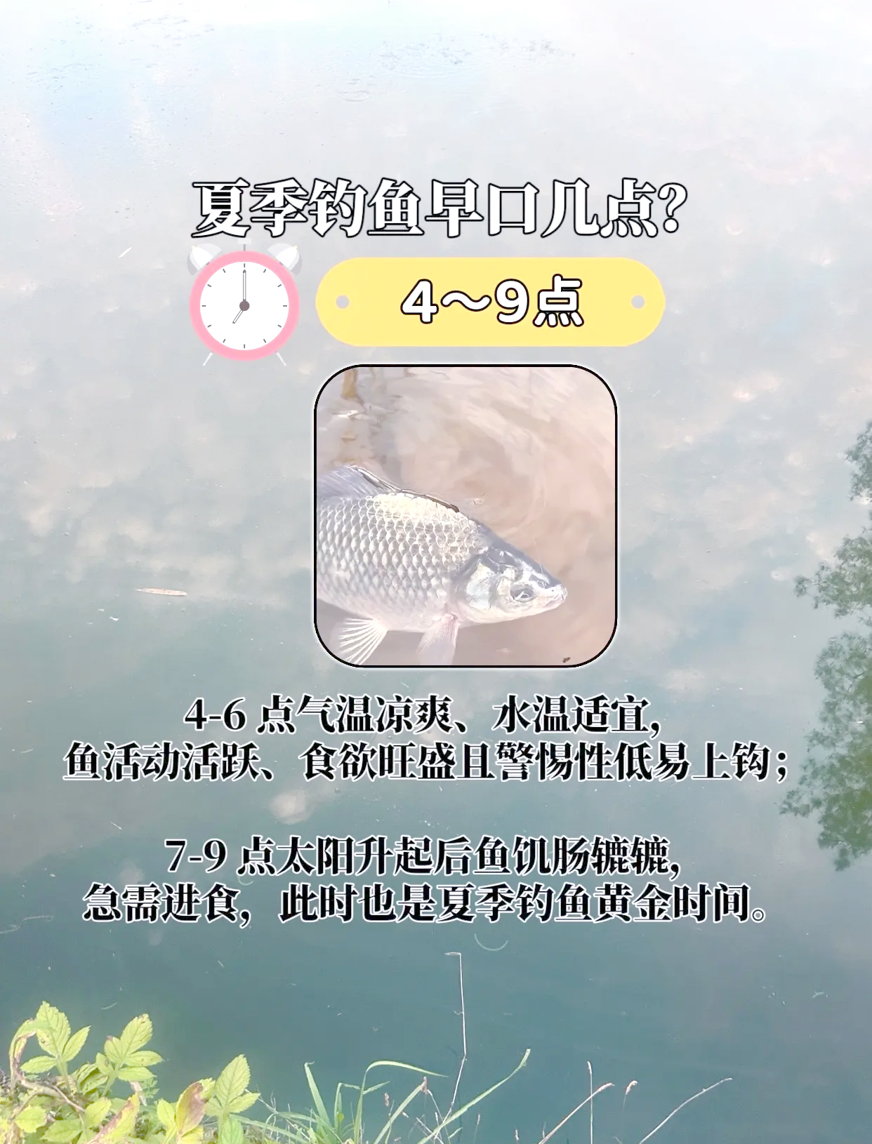 爆小鲫鱼技巧(爆小鲫鱼技巧和方法)