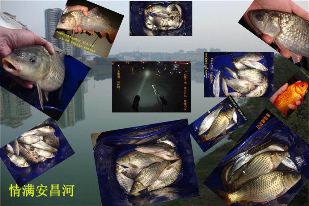 自述江河钓鲶鱼技巧文章(自述江河钓鲶鱼技巧文章内容)
