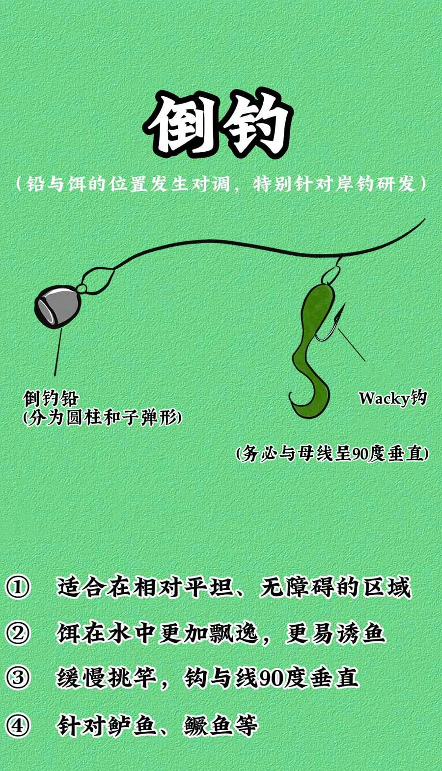 亚竿钓鱼技巧视频(钓鱼亚路竿初学视频)