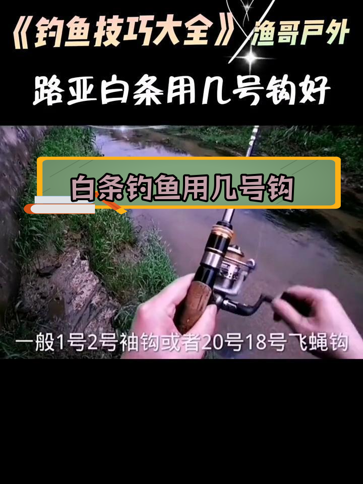 路亚钓白条技巧(路亚钓白条的技巧)