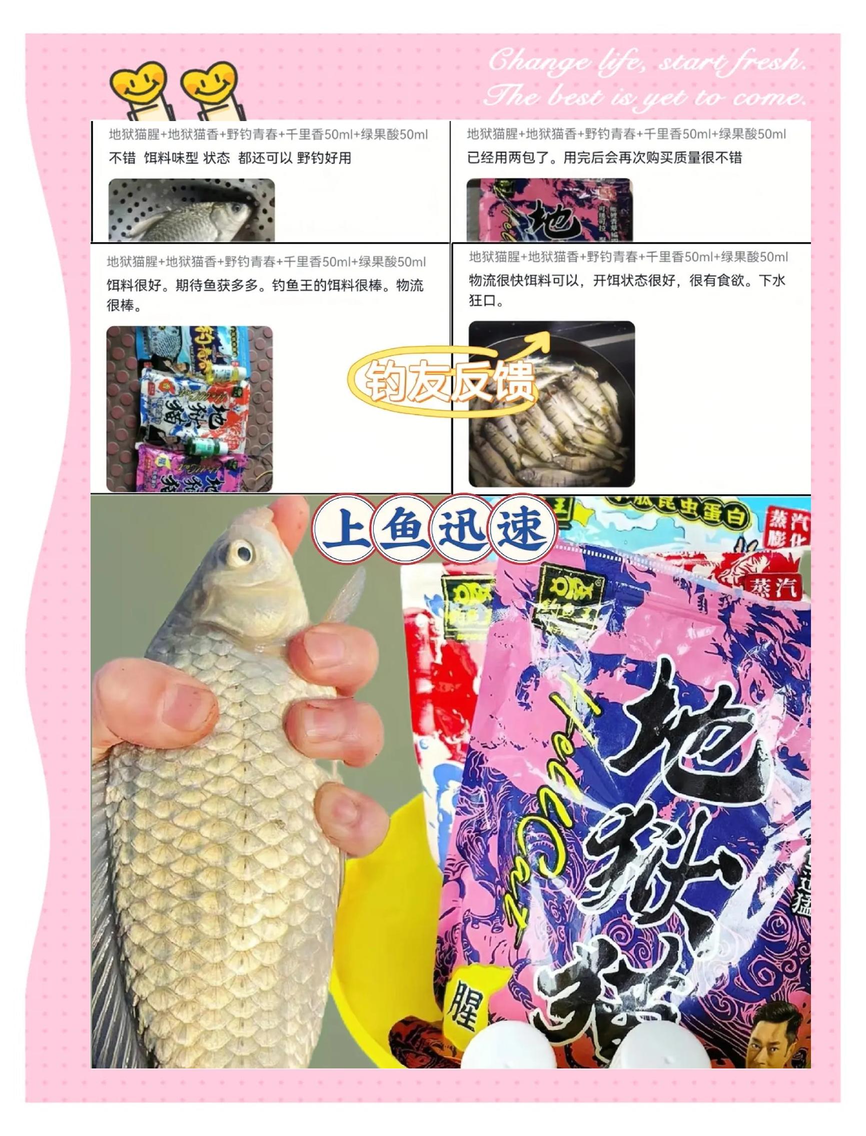 台钓搓饵拉饵技巧(台钓搓饵拉饵技巧和方法)