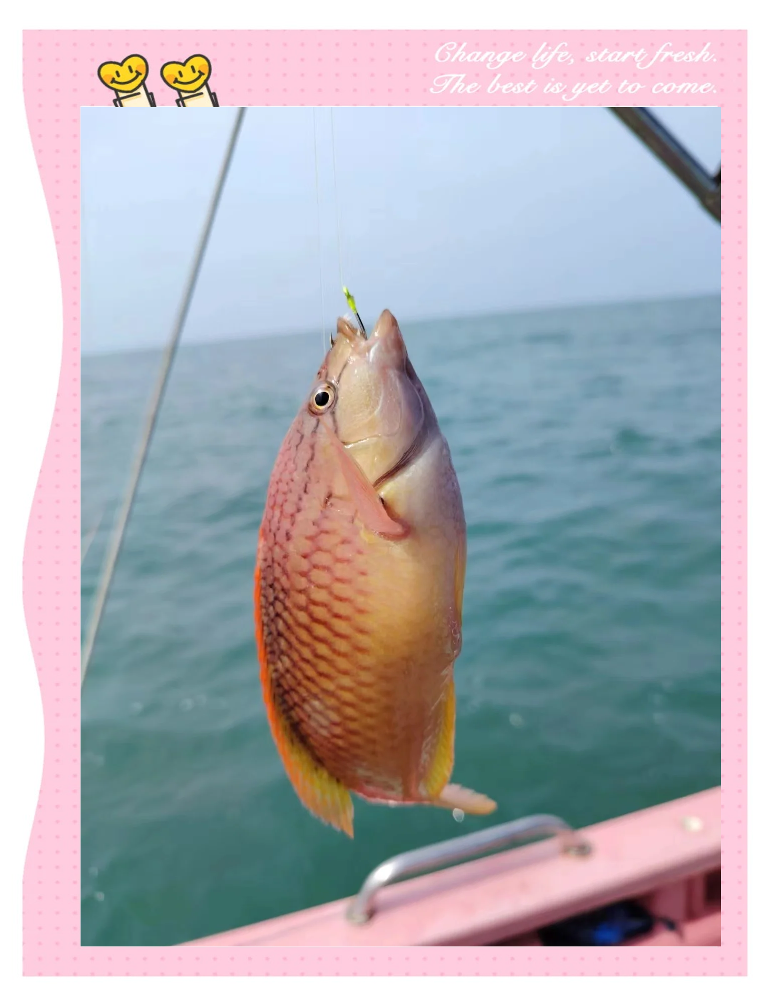 海钓的适合温度(海钓什么温度最好)