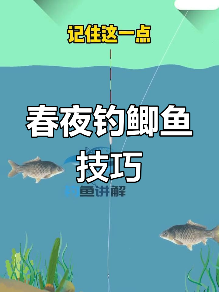 春季钓鲫鱼小技巧(春季钓鲫鱼小技巧视频)