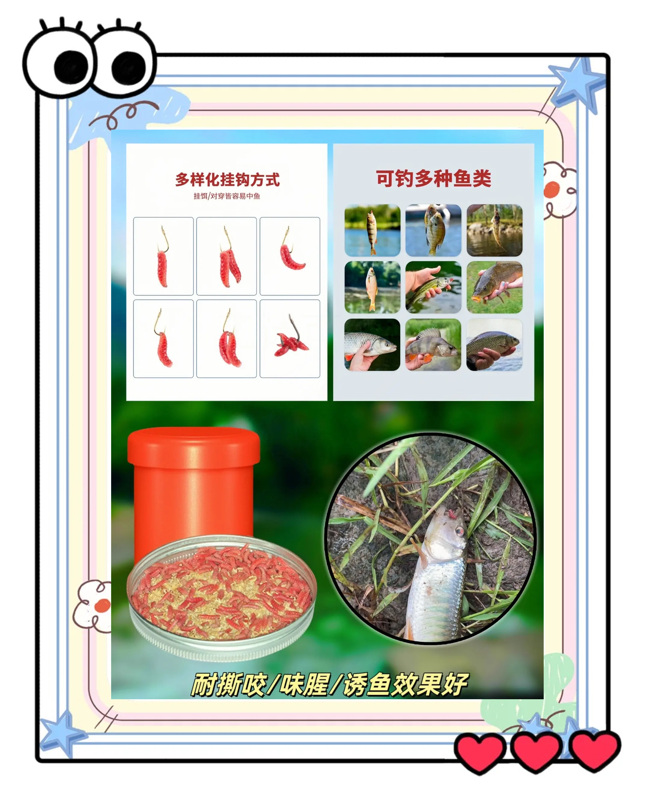 红虫饵料怎么搭配最好(红虫饵料怎么搭配最好钓鱼)