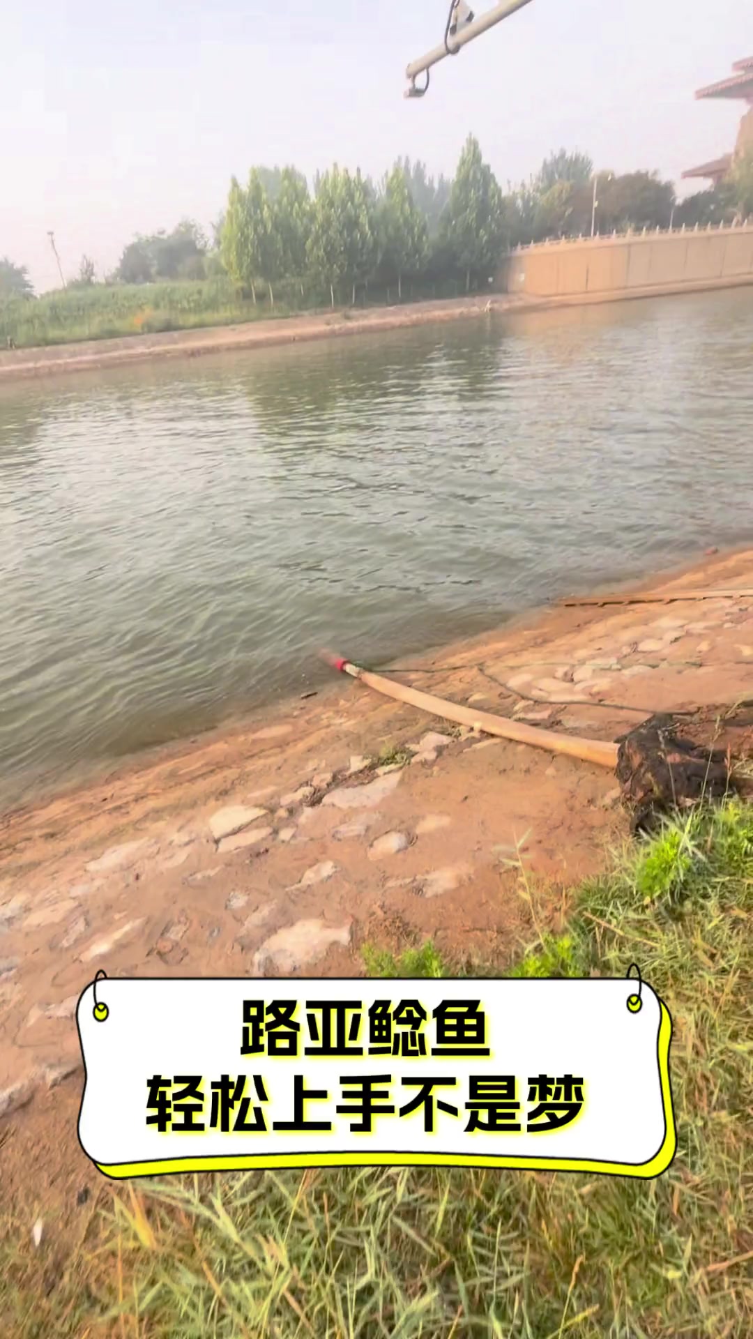 路亚可以路鲶鱼吗(用路亚钓鲶鱼的技巧)