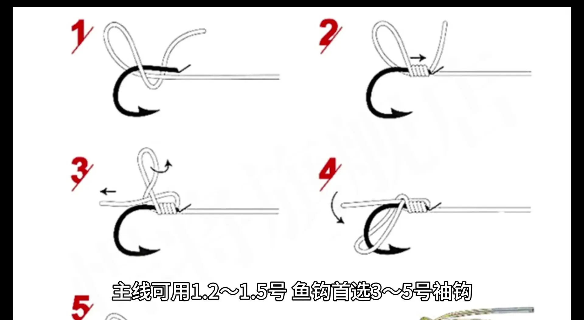 早晨钓鲫技巧(早晨野钓鲫鱼怎样可以多钓点)