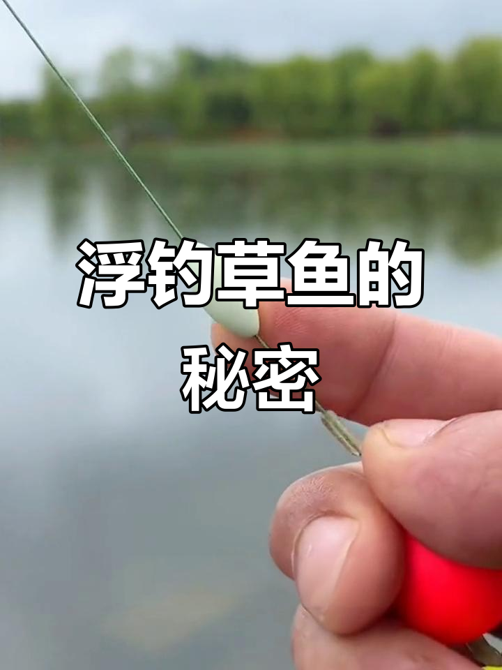 海竿浮钓草鱼技巧(海竿浮钓草鱼的技巧和方法)