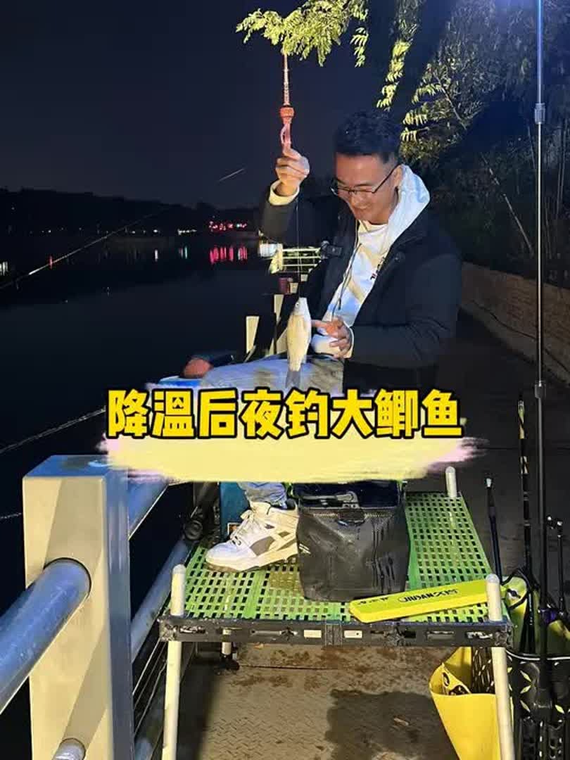 南方冬天夜钓鲫鱼技巧(南方冬天钓鲫鱼用什么饵料)