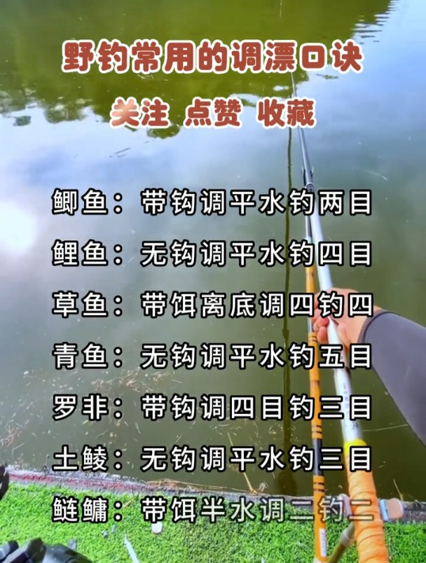 钓罗非鱼调漂技巧视频(钓罗非鱼怎样调漂最灵敏)