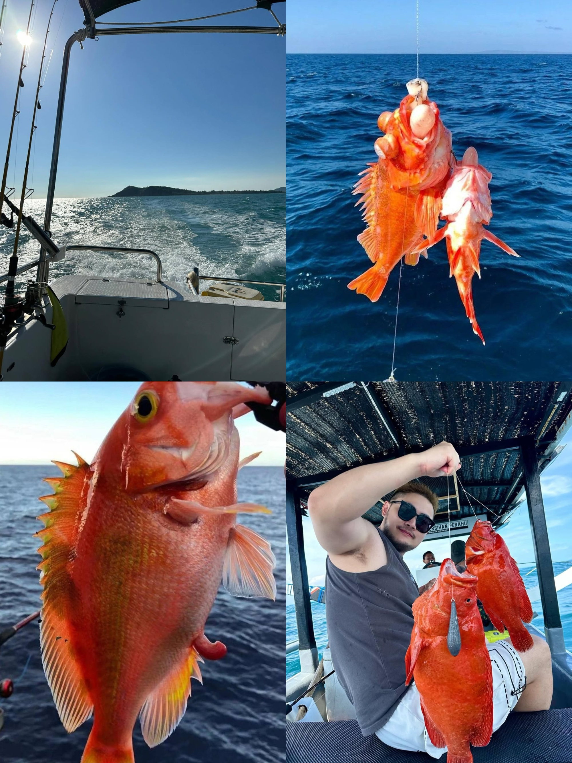海钓后晕(海钓会晕船吗)